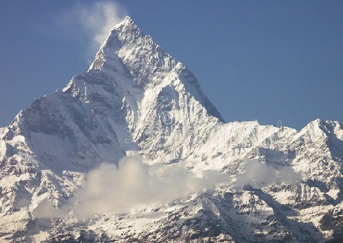 Himalayazout is afkomstig uit het gebied de Zuidwestelijke Himalaya. De Zuidwestelijke Himalya dat van oudsher als bijzonder kostbaar