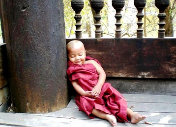 The Little Buddha over Onwetendheid Ontdek het verhaal van Littel Buddha de leer van het